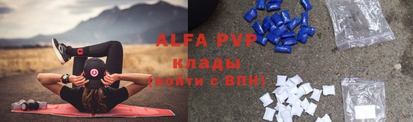 прущие грибы Аркадак