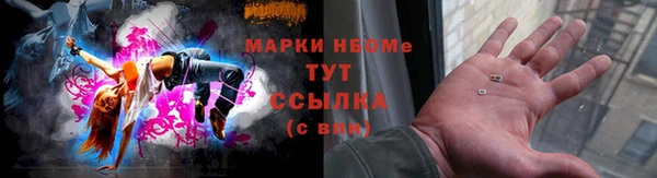 прущие грибы Аркадак