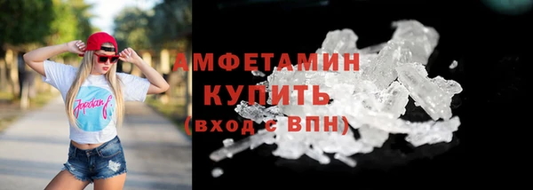 прущие грибы Аркадак