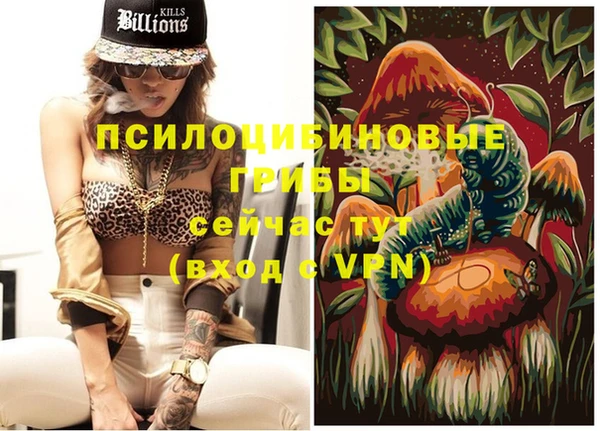 прущие грибы Аркадак