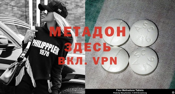 прущие грибы Аркадак