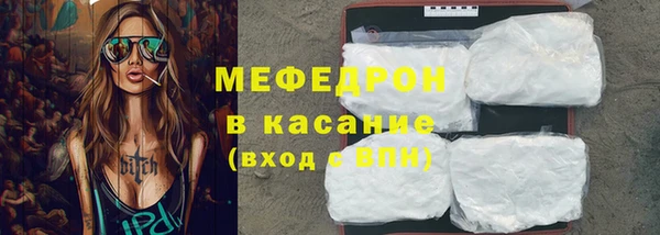 индика Осинники