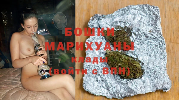 индика Осинники