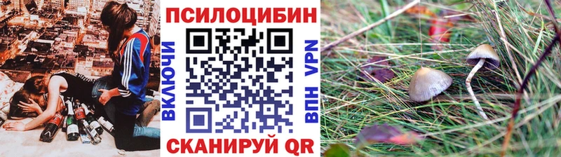 Псилоцибиновые грибы Psilocybine cubensis  Протвино 