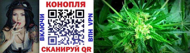 Каннабис тримм закладка Протвино